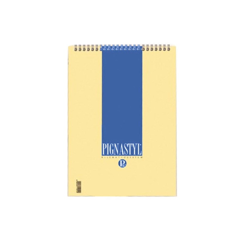 Blocnotes A4 Pigna Styl, 60 file, matematica, cu spira