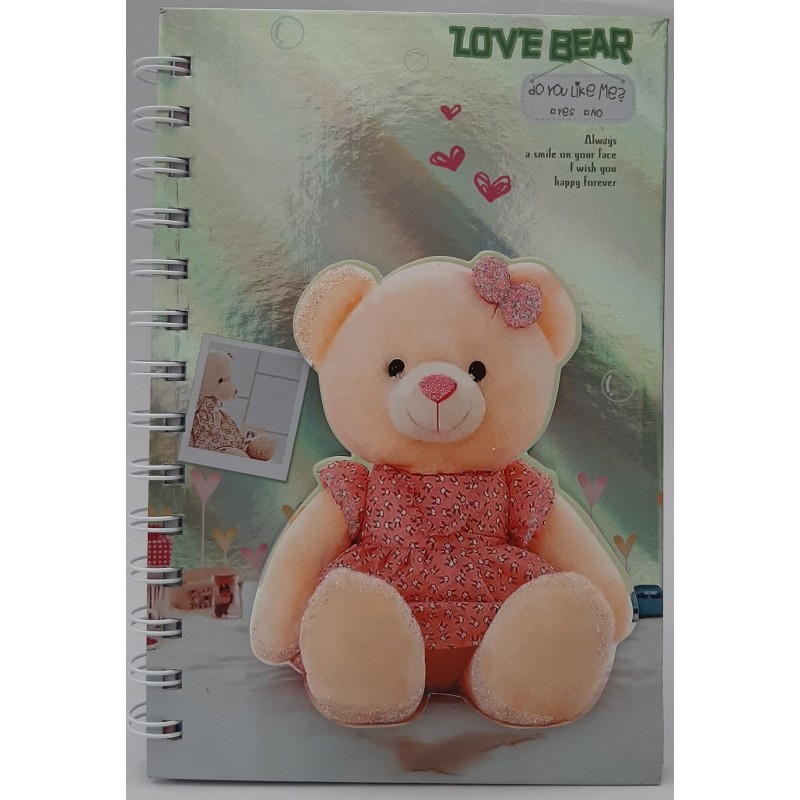Jurnal A5 CNX Urusulet A-548, 100 pagini, coperta carton argintie, cu spira