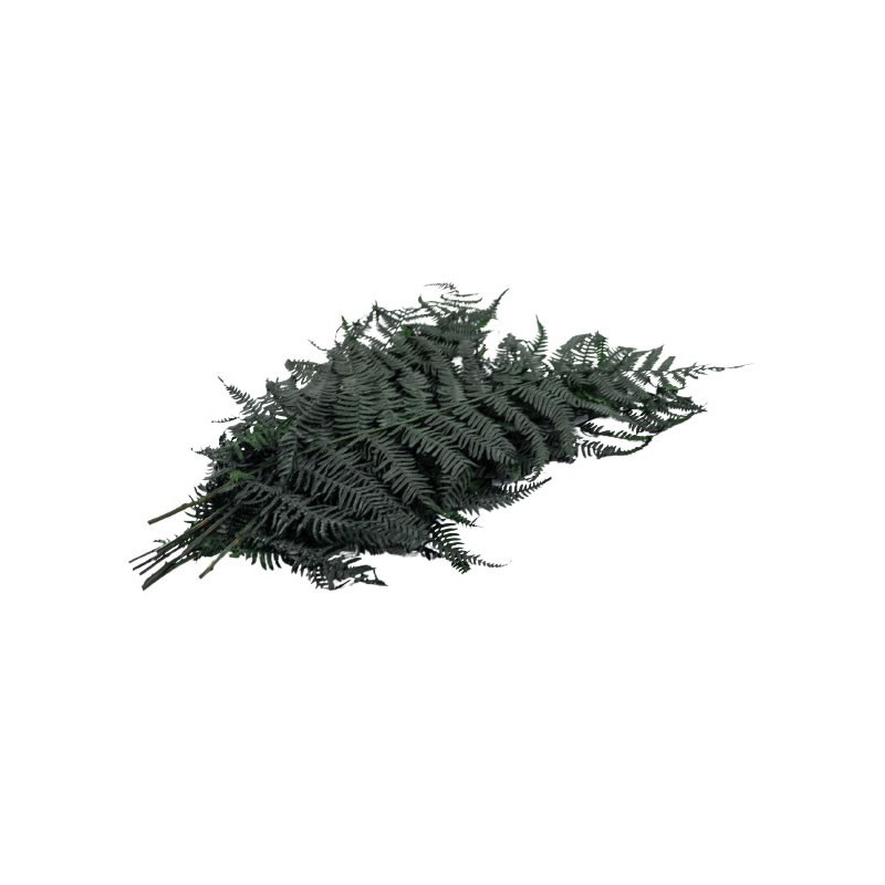Foliage Feriga, punga 4g, Colorarte