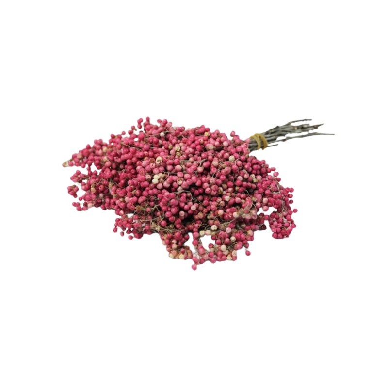 Foliage Peppertree, punga 12g, Colorarte