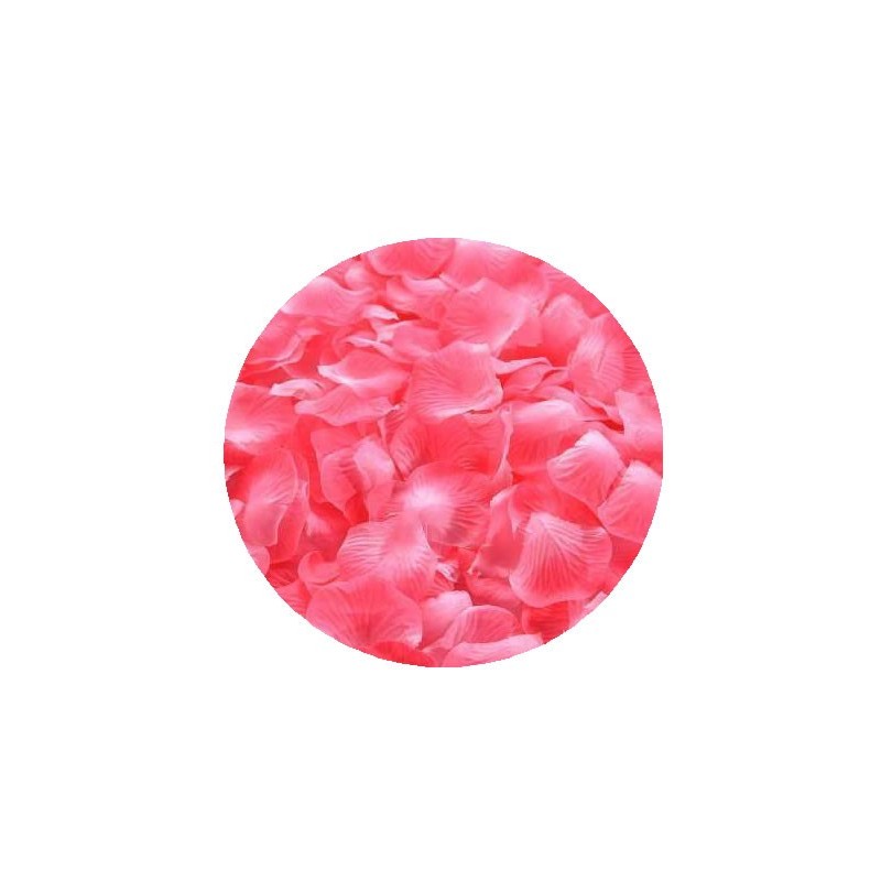 Foliage trandafir, corai, petale, punga 6g, Colorarte