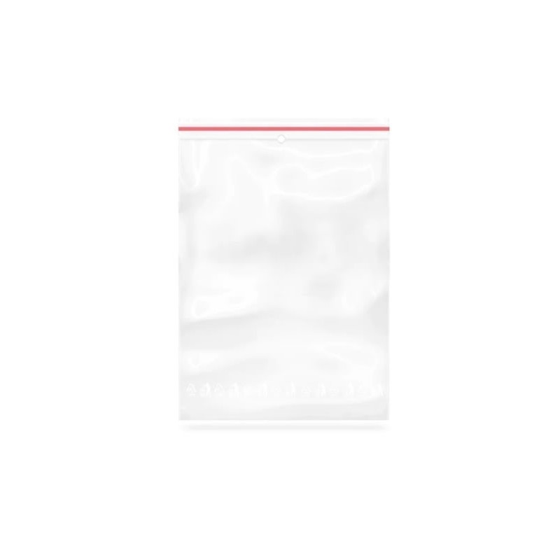 Punga ziplock PPLZ1015, 10x15cm, plastic transparent, set 100 buc