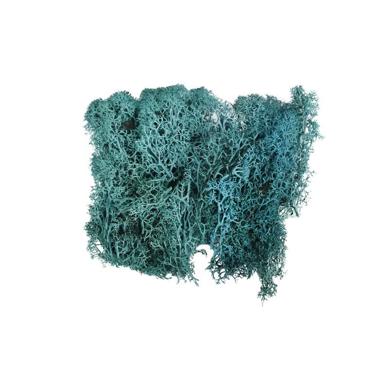 Licheni stabilizati, turcoaz inchis, punga 20g, Colorarte, Q1