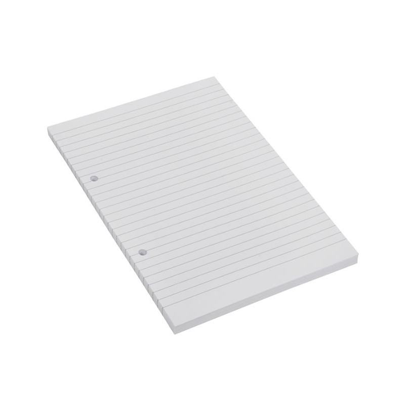 Rezerva caiet mecanic Dany, A4, 100 file, dictando, 2 inele