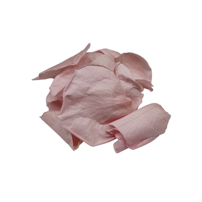 Foliage trandafir, roz, petale, punga 6g, Colorarte