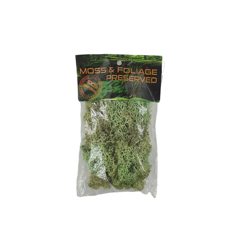 Licheni stabilizati, verde pal, punga 20g, Colorarte, Q1