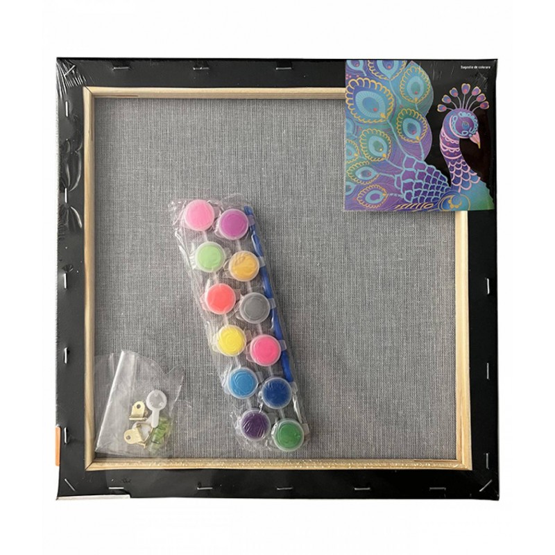 Set pictura pe panza neagra imprimata 30x30cm, Pigna - Paun - acuarele, pensule, accesorii, PP303N98