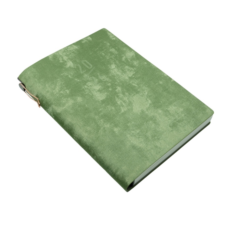Agenda A5 datata + pix, CNX 2026-163, planner, 168 pagini, verde deschis