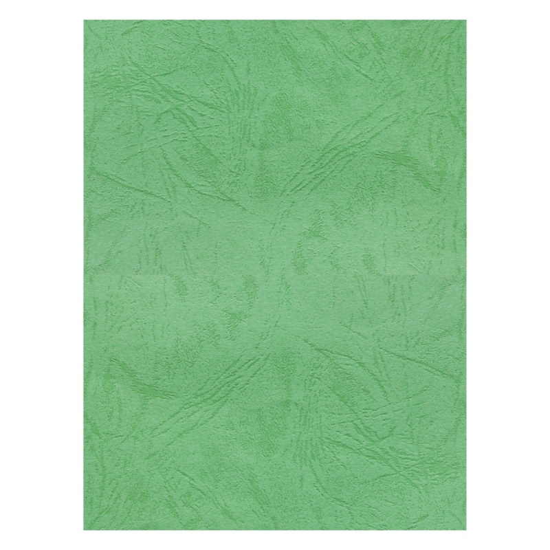 Coperta indosariere A4 CNX, carton imitatie piele, verde, 230g/mp, top 100 coli
