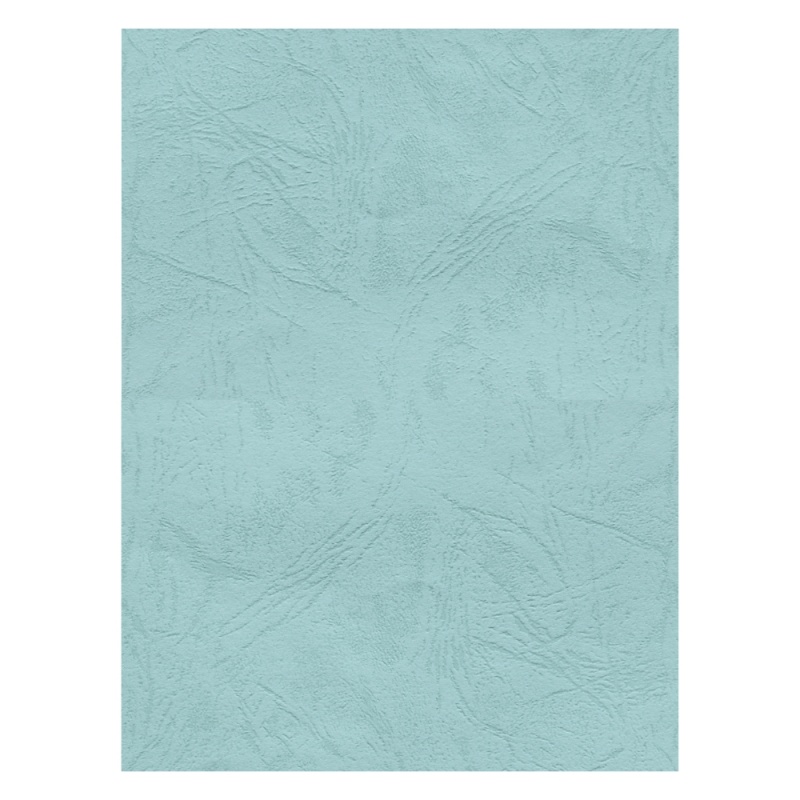 Coperta indosariere A4 CNX, carton imitatie piele, verde pastel, 230g/mp, top 100 coli