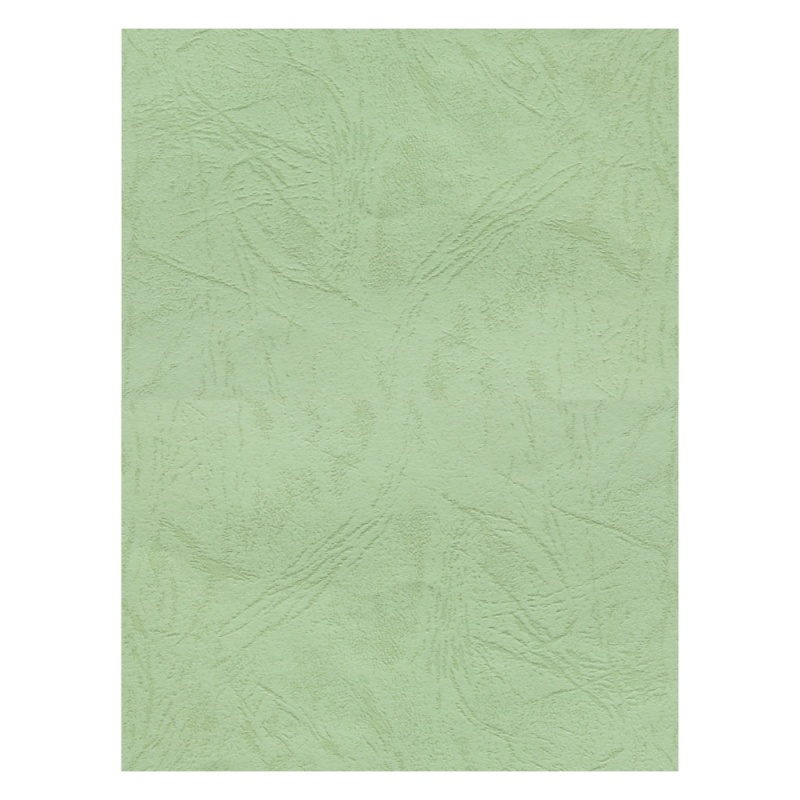 Coperta indosariere A4 CNX, carton imitatie piele, fistic, 230g/mp, top 100 coli