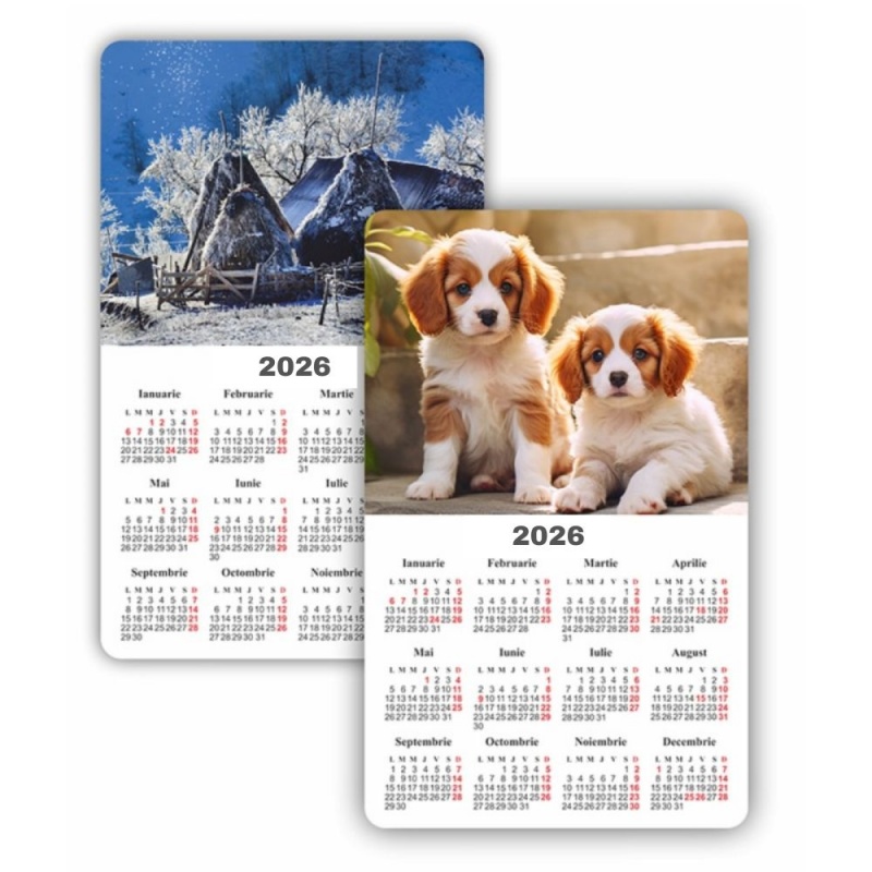 Calendar magnetic ARHI Diverse Imagini policromie, 9x14.5cm, coala 115g/mp