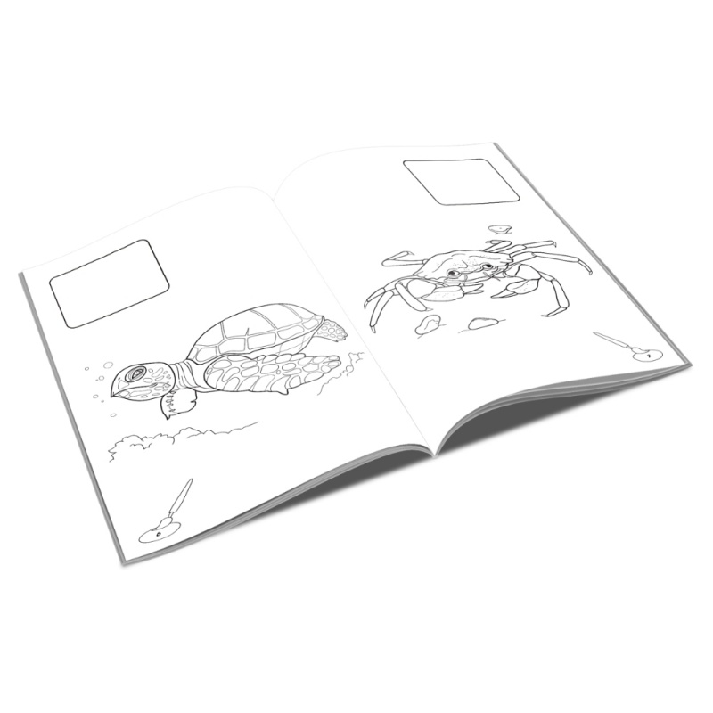 Carte de colorat A4, Lipim si Coloram - Animale marine, Unicart