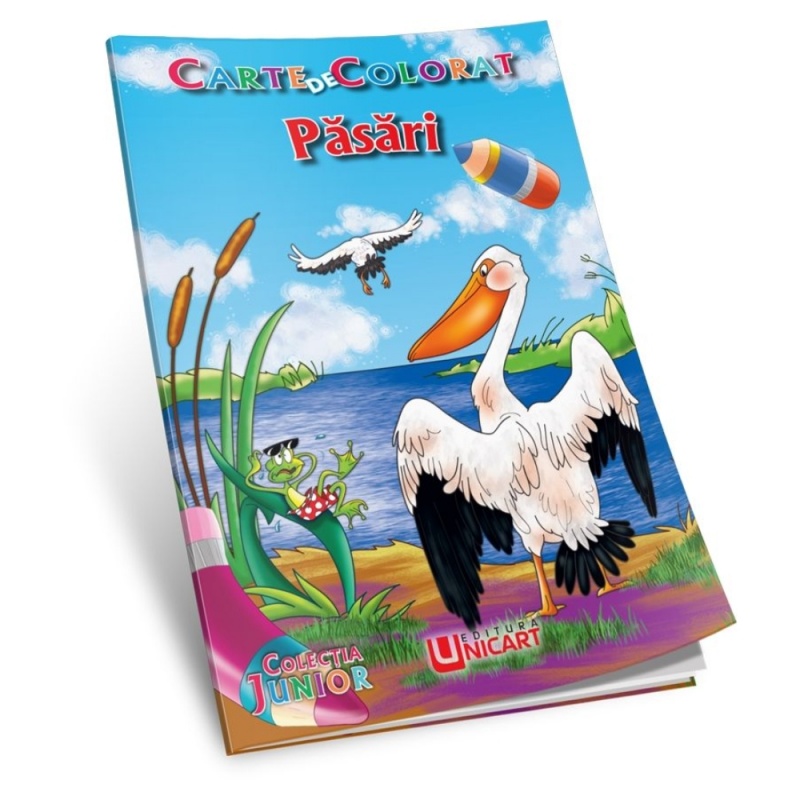 Carte de colorat B5, Pasari, Unicart