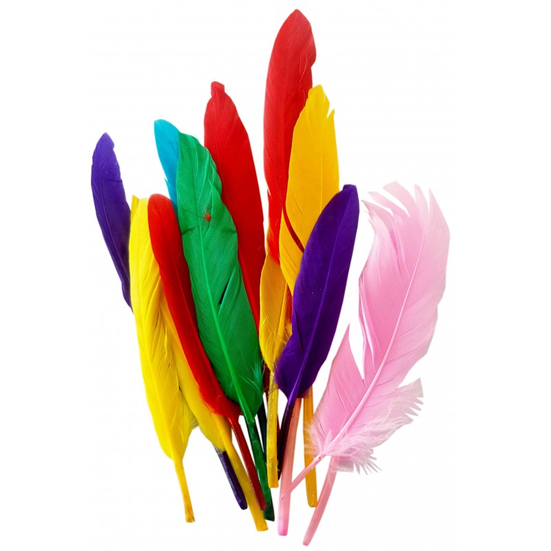 Accesorii creatie - pene, 12-15cm, set 10 buc, Colorarte