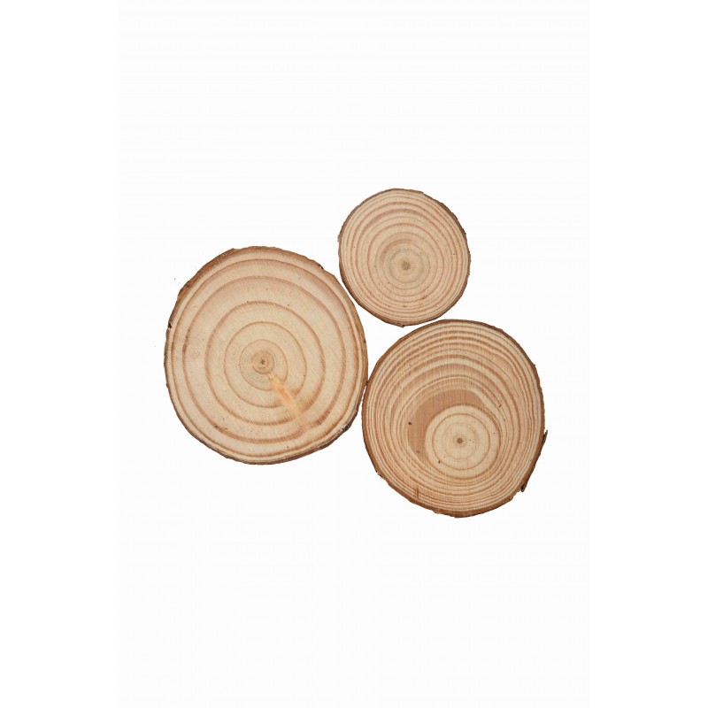 Accesorii creatie - lemn - rondele, 3.5-6cm, set 3 buc, Colorarte